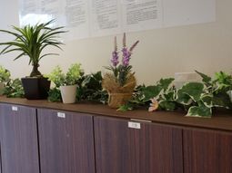 植物飾りの廊下