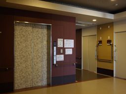 清潔な廊下とエレベーター