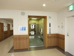 清潔な廊下とエレベーター