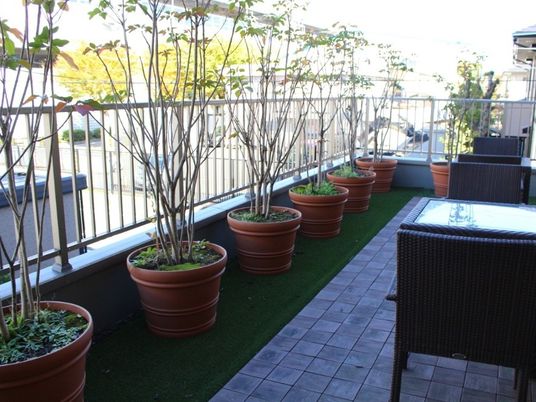 鉢植え並ぶ屋外テラス  
