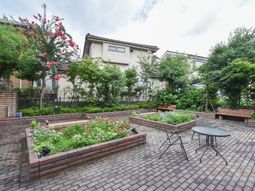 緑豊かな中庭の風景