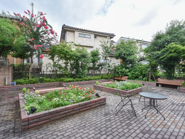 緑豊かな中庭の風景