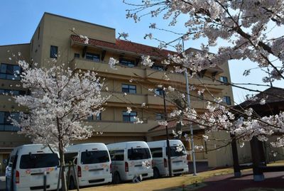 桜が咲く建物の外観