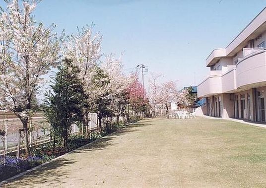 穏やかな庭