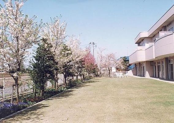 穏やかな庭