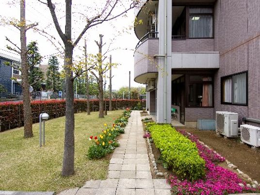 緑豊かな中庭風景