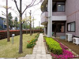 四季の花が彩る中庭