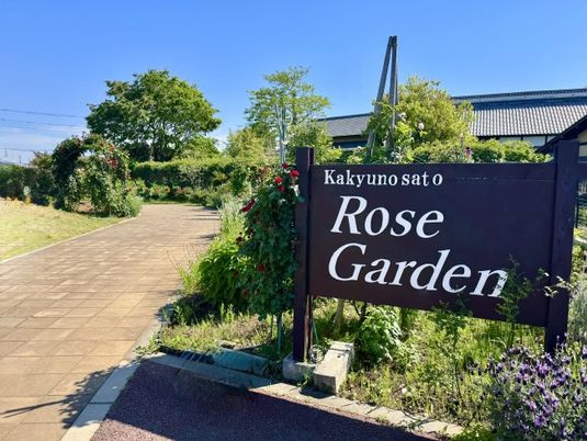 バラ園の案内看板  