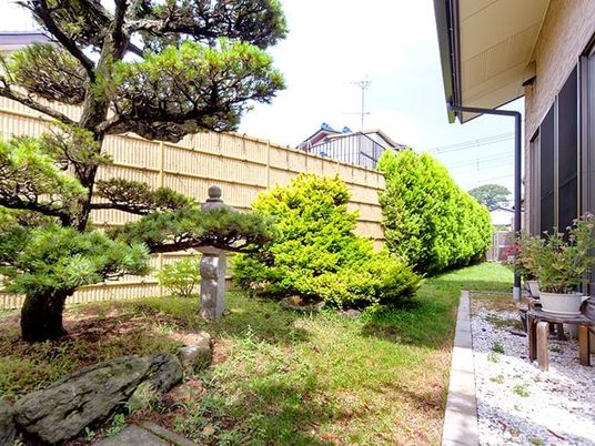 庭の植栽が見える庭  