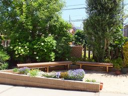 緑豊かな中庭景観