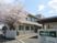 桜と建物の外観  