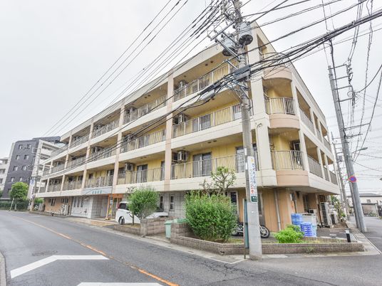 多層階建物の外観