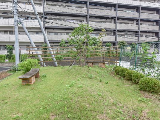 緑豊かな中庭