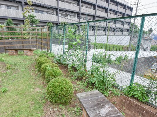 緑あふれる施設の庭