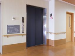 清潔な廊下とエレベーター