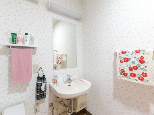 清潔な洗面台と鏡