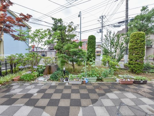 多様な植物がある庭