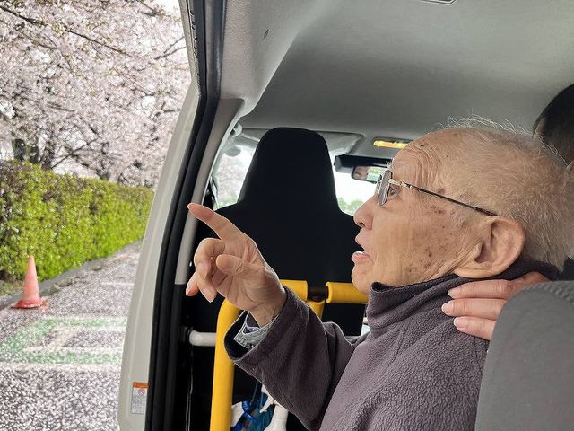 お花見