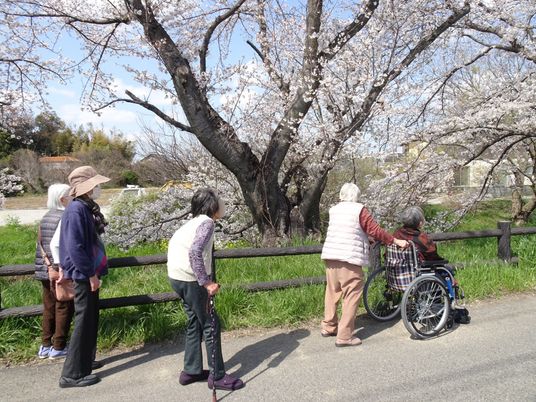 お花見中の散策