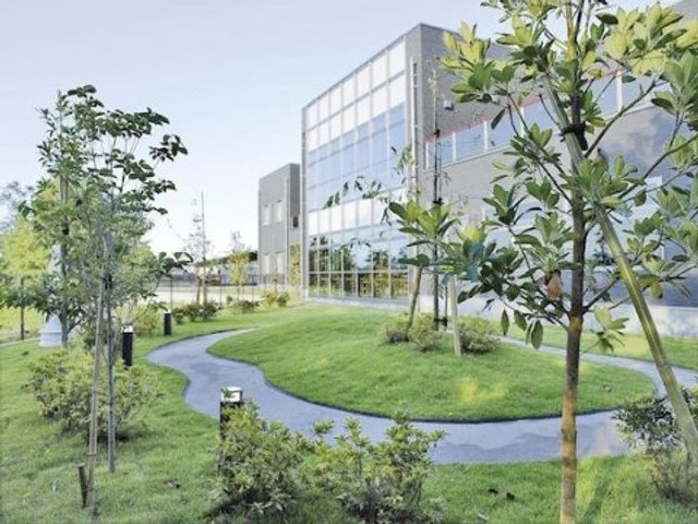 緑豊かな施設外観 庭 自然に囲まれた中庭は、心を落ち着かせる癒しのスペースです。日々のリフレッシュに最適な場所でしょう。