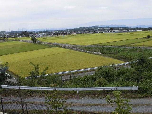 風景が広がる開放的な眺望 周辺 ゆったりとした田園風景が望める場所です。心安らぐ自然の風景を通じて、日々の生活に癒しを提供しています。