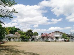 春の中庭に桜が満開