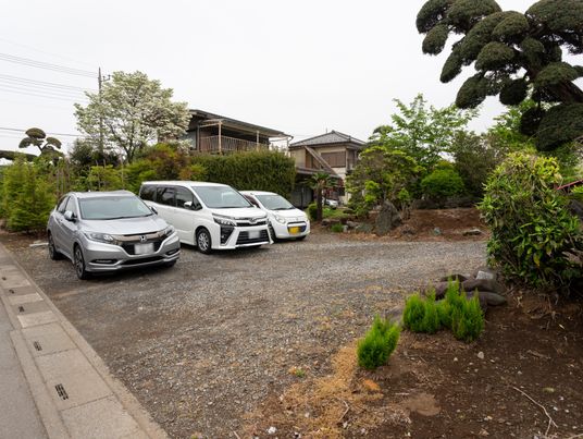 緑豊かな駐車場