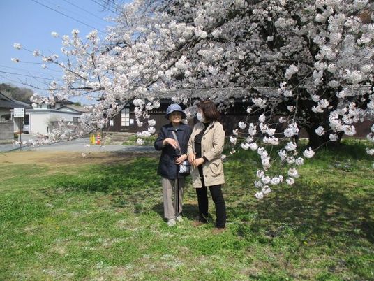 桜と人々の外観