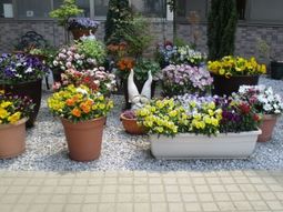 色とりどりの花が咲く中庭