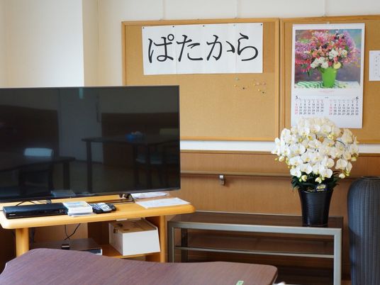 リビングのテレビと花