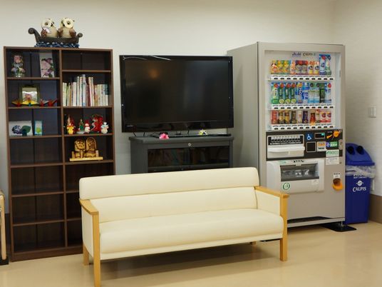リビングのソファとテレビ