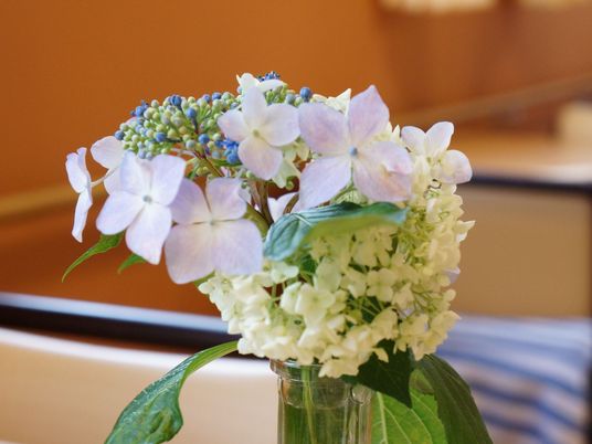 館内に目を楽しませてくれる、季節の花が置かれている。薄紫や青、白などバランスを考え上手に生けられている。
