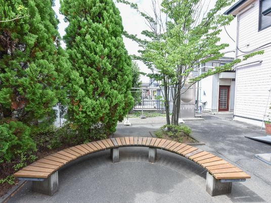 中庭の木々とベンチ