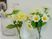 癒しの花飾り二つ