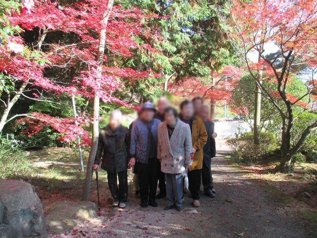紅葉のある庭 庭 落ち着いた庭で、紅葉を楽しむことができます。自然の中でリラックスした時間を過ごせます。
