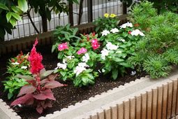 色鮮やかな花の中庭