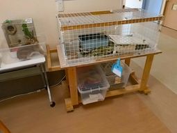 動物が生活する空間