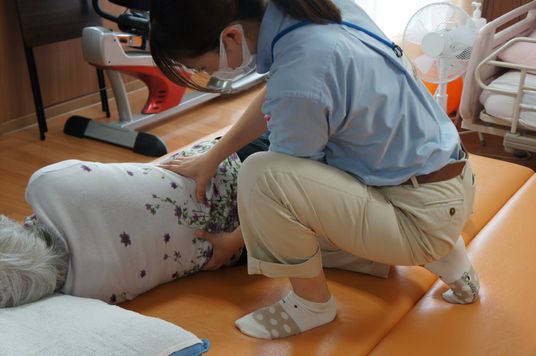 介護中の機能訓練室