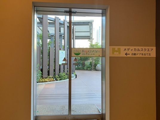 中庭へ続く自動ドア  