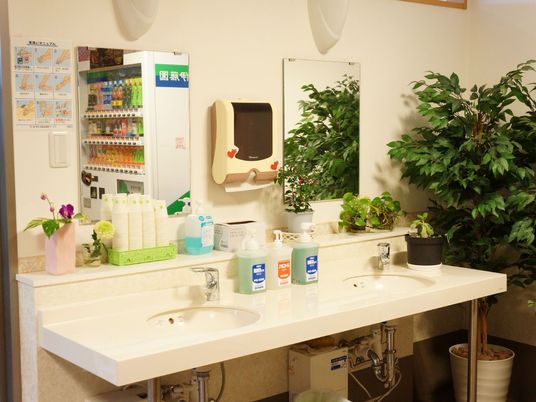 清潔な洗面台と植物