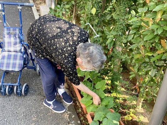 庭で植物の世話をする人