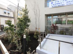 緑豊かな中庭