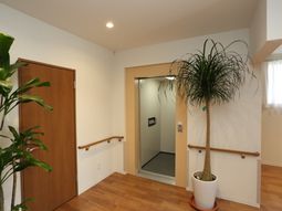 廊下の植物とエレベーター