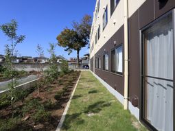 青空下の快適な中庭