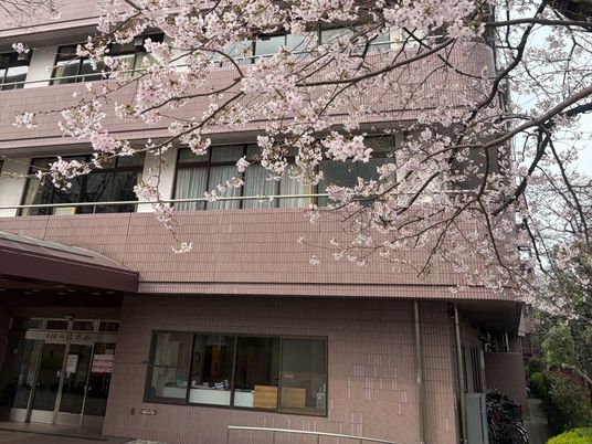 桜に囲まれた建物外観  