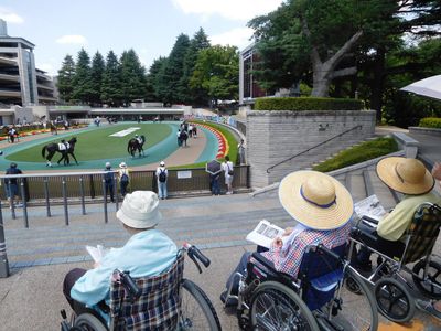 庭を眺める憩いの場