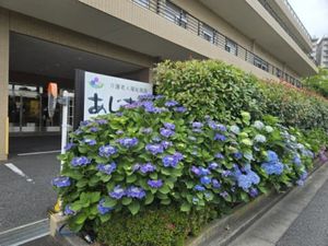 花壇のあるエントランス  