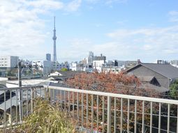 見晴らしの良いテラス