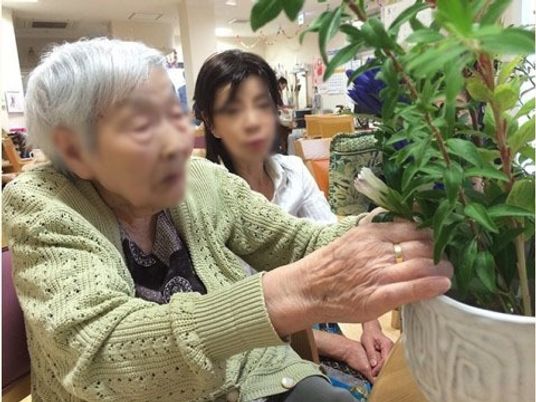 高齢者と植物のふれあい
