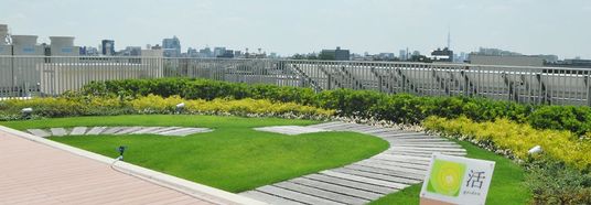 緑豊かな庭園